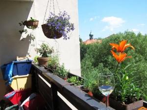 Pronájem bytu 2+kk, Praha - Strašnice, Gutova, 47 m2