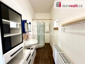 Pronájem bytu 1+1, Děčín, Labské nábř., 60 m2