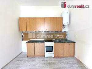 Pronájem bytu 1+1, Děčín, Labské nábř., 60 m2