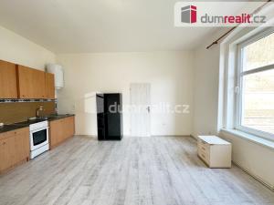 Pronájem bytu 1+1, Děčín, Labské nábř., 60 m2