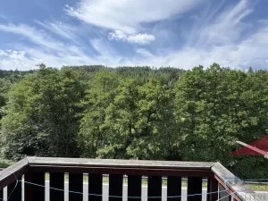 Prodej rodinného domu, Petrovice u Sušice - Františkova Ves, 365 m2