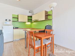 Pronájem bytu 1+kk, Brno - Slatina, Kigginsova, 40 m2