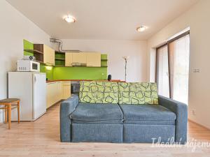 Pronájem bytu 1+kk, Brno - Slatina, Kigginsova, 40 m2