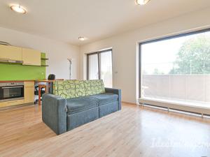 Pronájem bytu 1+kk, Brno - Slatina, Kigginsova, 40 m2