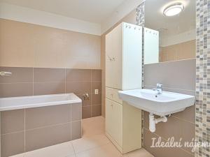 Pronájem bytu 1+kk, Brno - Slatina, Kigginsova, 40 m2