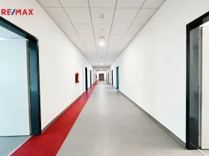 Pronájem kanceláře, Písek - Pražské Předměstí, Vladislavova, 650 m2