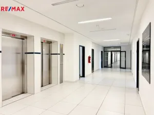 Pronájem kanceláře, Písek - Pražské Předměstí, Vladislavova, 40 m2