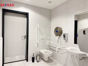 Pronájem kanceláře, Písek - Pražské Předměstí, Vladislavova, 20 m2