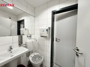 Pronájem restaurace, Písek - Pražské Předměstí, Vladislavova, 362 m2