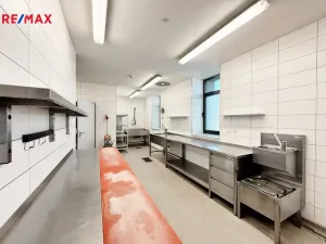 Pronájem restaurace, Písek - Pražské Předměstí, Vladislavova, 362 m2