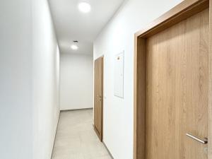 Pronájem bytu 1+kk, Liberec - Liberec VI-Rochlice, Dukelská, 39 m2