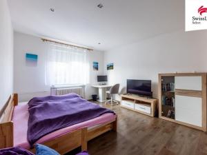 Pronájem bytu 1+1, Plzeň, Blatenská, 33 m2