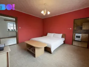 Prodej rodinného domu, Velké Albrechtice, 300 m2