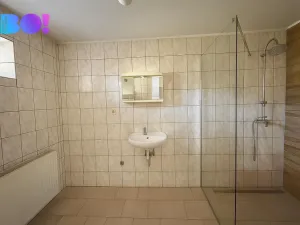 Prodej rodinného domu, Velké Albrechtice, 300 m2