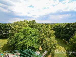 Pronájem bytu 3+1, Brno, Nejedlého, 62 m2