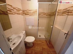Pronájem bytu 1+1, Děčín - Děčín IX-Bynov, Na Pěšině, 35 m2