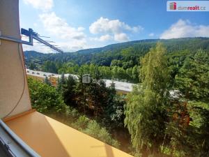 Pronájem bytu 1+1, Děčín - Děčín IX-Bynov, Na Pěšině, 35 m2