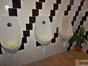 Prodej restaurace, Opatov, 360 m2