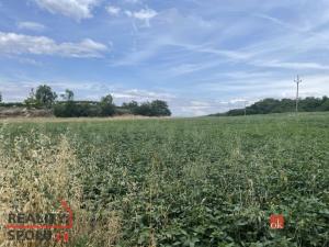 Prodej pozemku pro bydlení, Hustopeče, 788 m2