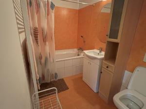 Prodej bytu 4+kk, Karlovy Vary - Rybáře, Sokolovská, 75 m2