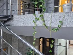 Pronájem obchodního prostoru, Znojmo, náměstí Svobody, 29 m2