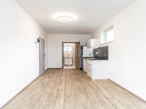 Pronájem bytu 1+kk, Mladá Boleslav, 29 m2