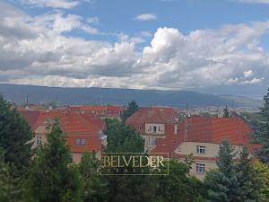 Pronájem bytu 2+1, Teplice, Polská, 110 m2