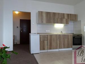 Pronájem bytu 2+kk, Mladá Boleslav, tř. Václava Klementa, 41 m2