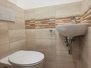 Pronájem bytu 2+1, Ústí nad Labem, U Pivovarské zahrady, 60 m2