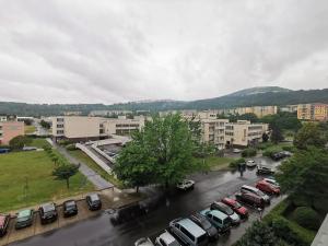 Pronájem bytu 2+1, Ústí nad Labem, U Pivovarské zahrady, 60 m2