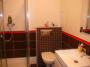 Pronájem bytu 1+kk, Písek - Budějovické Předměstí, Nádražní, 30 m2