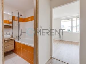 Pronájem bytu 1+kk, Praha - Žižkov, Rokycanova, 38 m2