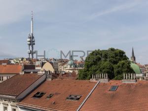 Pronájem bytu 1+kk, Praha - Žižkov, Rokycanova, 38 m2