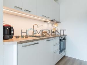 Pronájem bytu 1+kk, Praha - Žižkov, Rokycanova, 38 m2