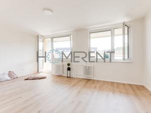 Pronájem bytu 1+kk, Praha - Žižkov, Rokycanova, 38 m2