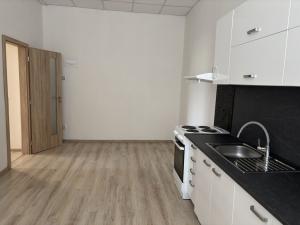 Pronájem bytu 2+1, Děčín, Na Pískách, 64 m2