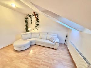 Pronájem bytu 3+kk, Brno, Příkop, 96 m2