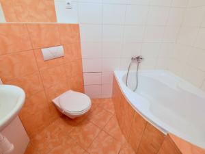 Pronájem bytu 1+kk, Brno - Štýřice, Celní, 32 m2