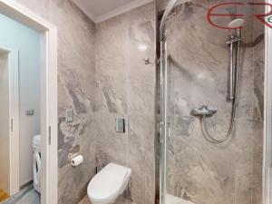 Pronájem bytu 1+kk, Jablonec nad Nisou, Komenského, 31 m2