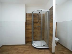 Pronájem bytu 3+kk, Chabařovice, 156 m2