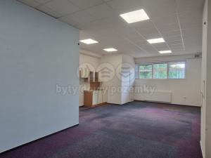 Pronájem obchodního prostoru, Ostrava - Poruba, Mongolská, 47 m2