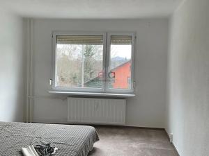 Pronájem bytu 2+1, Nový Bor, 63 m2