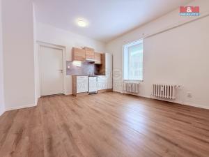 Pronájem bytu 1+kk, Tanvald, Krkonošská, 23 m2