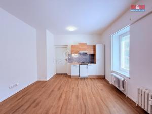 Pronájem bytu 1+kk, Tanvald, Krkonošská, 23 m2