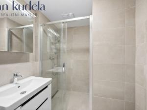 Pronájem bytu 1+kk, Brno, Trnitá, 24 m2