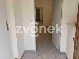 Pronájem výrobních prostor, Kudlovice, 1074 m2