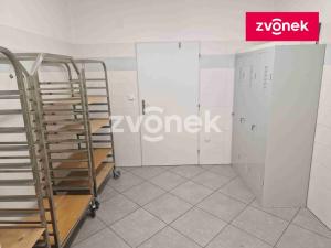 Pronájem výrobních prostor, Kudlovice, 1074 m2