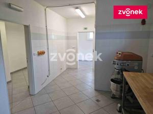 Pronájem výrobních prostor, Kudlovice, 1074 m2