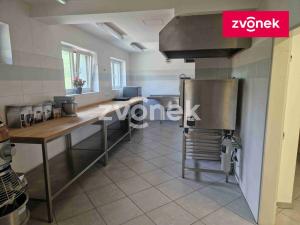 Pronájem výrobních prostor, Kudlovice, 1074 m2