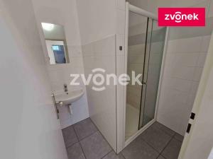 Pronájem výrobních prostor, Kudlovice, 1074 m2
